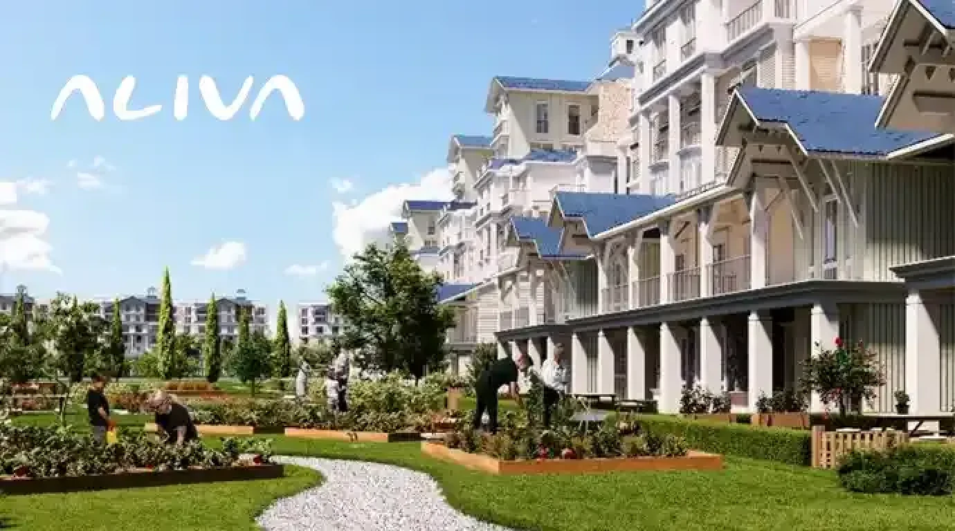 Compound Aliva By undefined